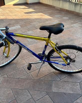 Bicicletta Frera