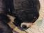 Immagine 5