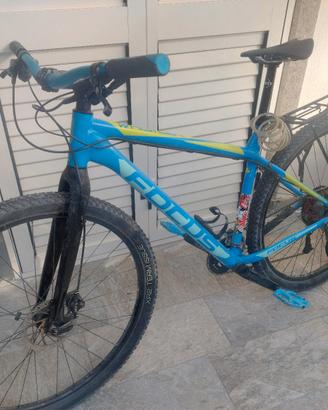 Focus mtb 29