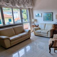 Coppia divani in pelle