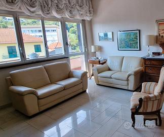 Coppia divani in pelle