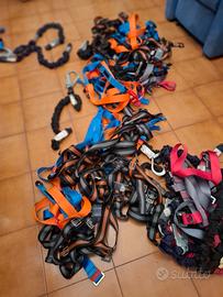 Imbragature di edilizia acrobatica