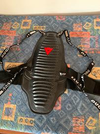 Paraschiena ducati