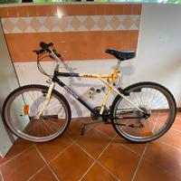Bianchi ragno meta