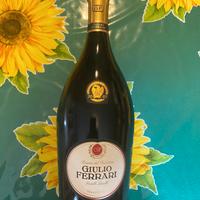 Giulio Ferrari 2007 – Riserva del Fondatore
