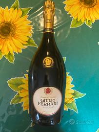 Giulio Ferrari 2007 – Riserva del Fondatore