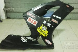 Kawasaki ninja carene
