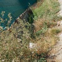 Puluzie Giardino