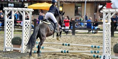 Doppio pony salto ostacoli