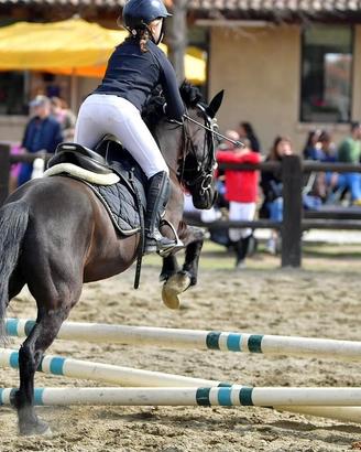 Doppio pony salto ostacoli