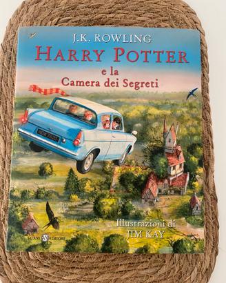 Libro harry potter