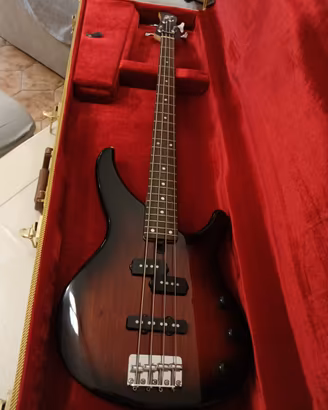 Basso e Amplificatore Fender