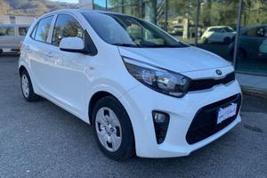 Kia Picanto 2017 Benzina 1.0 mpi Urban Adas P...
