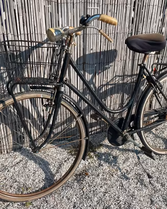 Bicicletta da passeggio