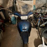 Free piaggio