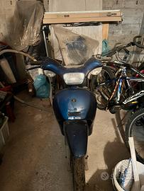 Free piaggio