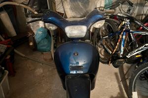 Free piaggio