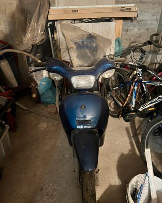 Free piaggio