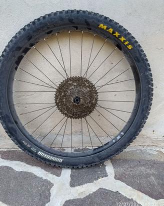 Ruota orbea