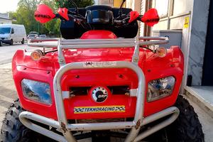 Can-Am Altro modello - 2008