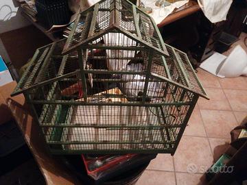 voliera per uccelli in legno e ferro