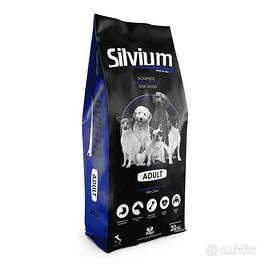 Silvium
