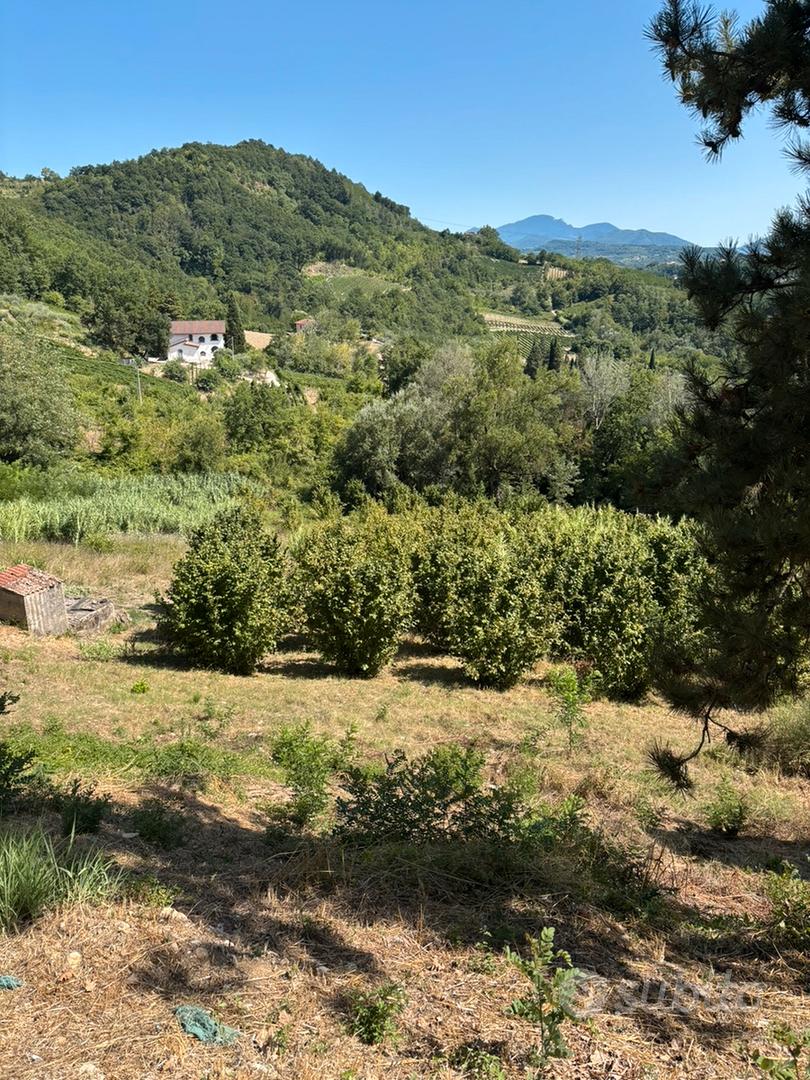 Terreno agricolo DOCG Tufo - Vista 5