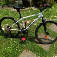 MTB 24
