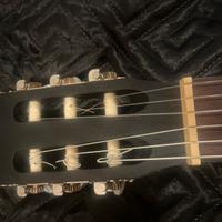 chitarra presa a luglio 2025