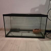 Acquario 