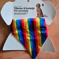 due collari raimbow per cani