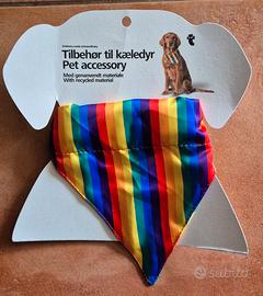 due collari raimbow per cani