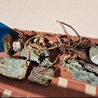 rocce acquario acqua dolce 