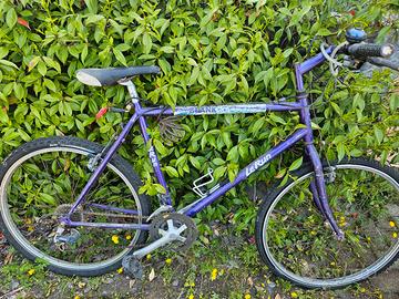 bici MTB LERUN spank