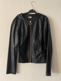 Giachetta pennyblack