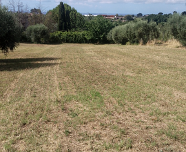 Terreno Agricolo