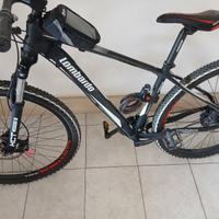 MTB Lombardo Sestriere 350, 29"