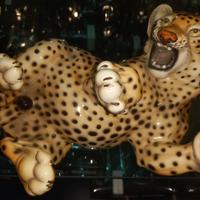 Leopardo  Ronzan