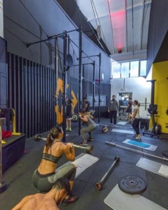 Gabbia Finzionale Hatlex multifunzione Professiona