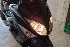 T max x 500 cc