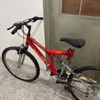 Biciclette Mountain Bike usate
