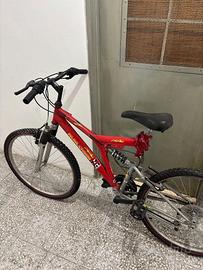 Biciclette Mountain Bike usate