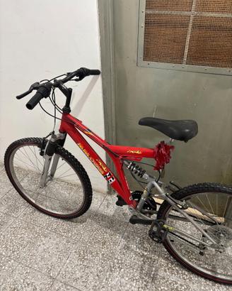 Biciclette Mountain Bike usate
