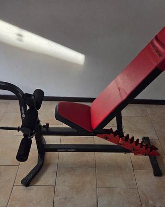palestra