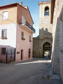 Palazzina cielo-terra con giardino in borgo