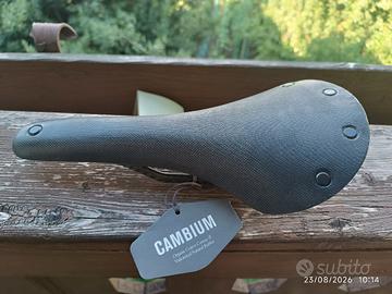 Sella  Brooks Cambium C13 carbon