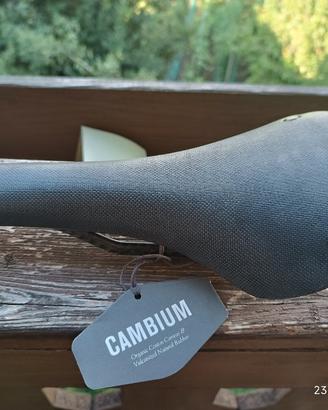 Sella  Brooks Cambium C13 carbon