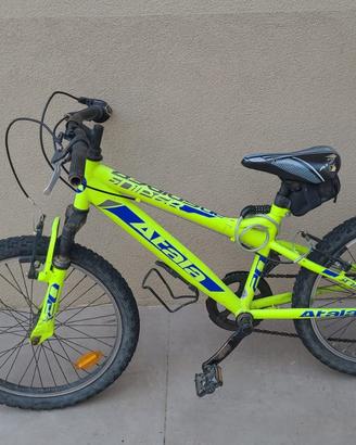 Bicicletta