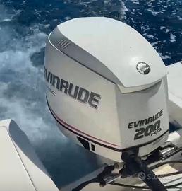 Motore EVINRUDE 200cv- PEZZI DI RICAMBIO