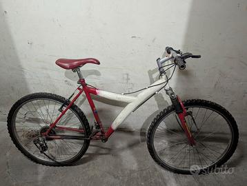 Telaio mountain bike